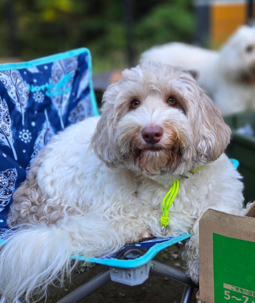 惺蓮(セレン)の写真