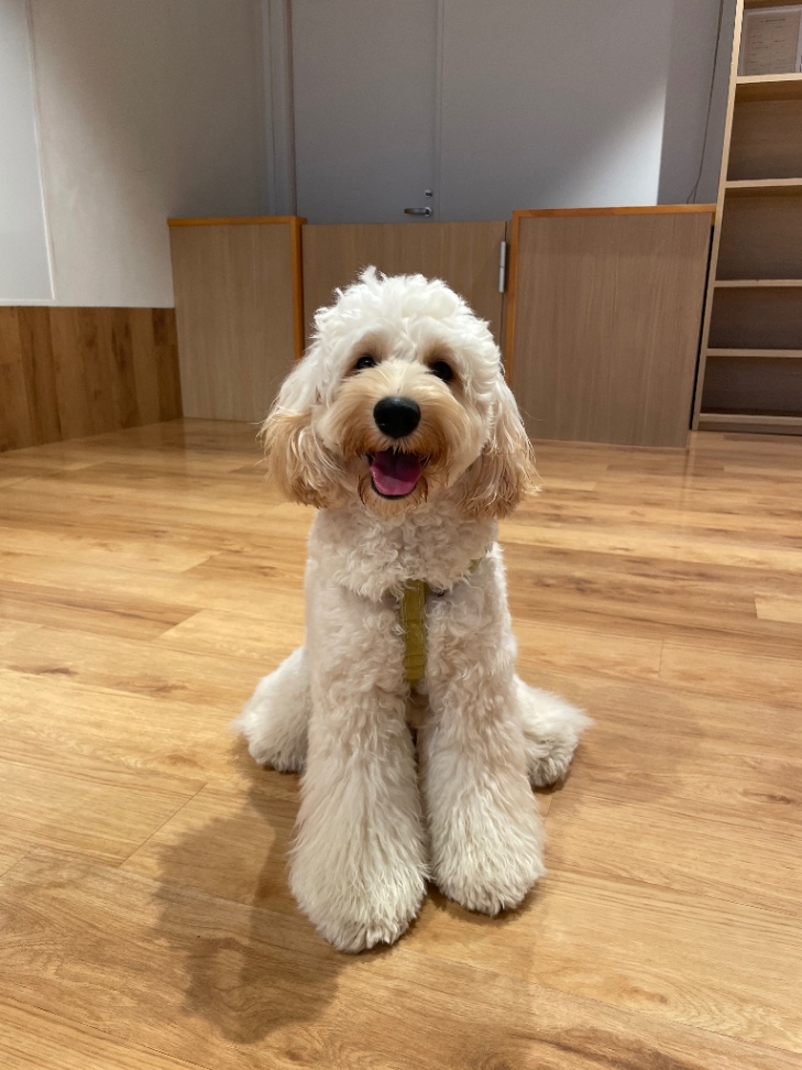 Welina(ウェリナ)の写真