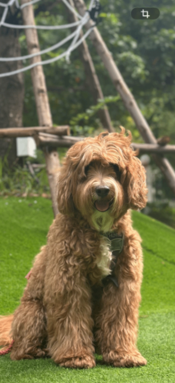 BAL (バル)の写真