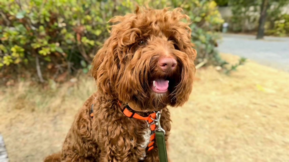 elen(エレン)の写真