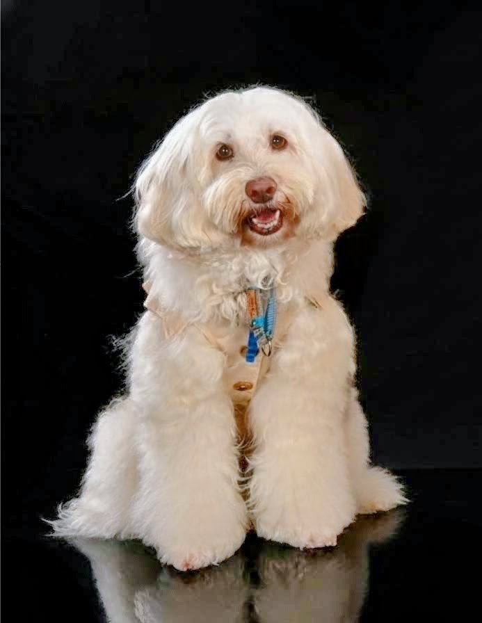 Sora（そら）の写真