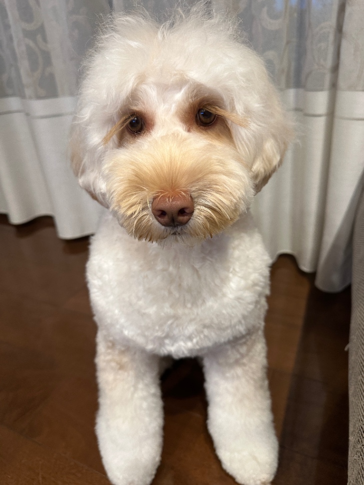 マーラエの写真