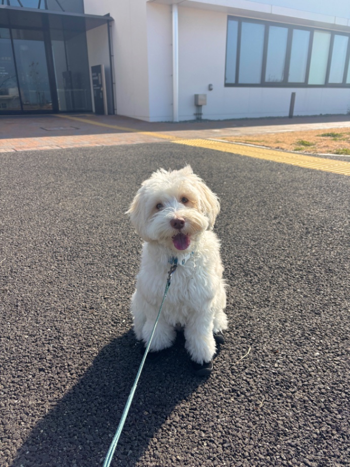 アンディの写真