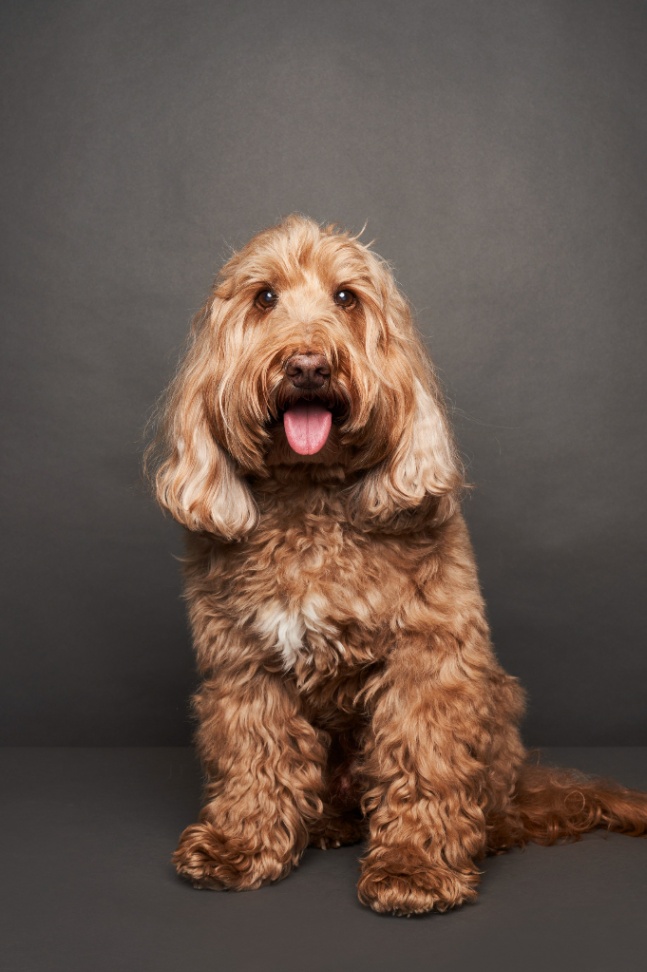 ジェイミーの写真