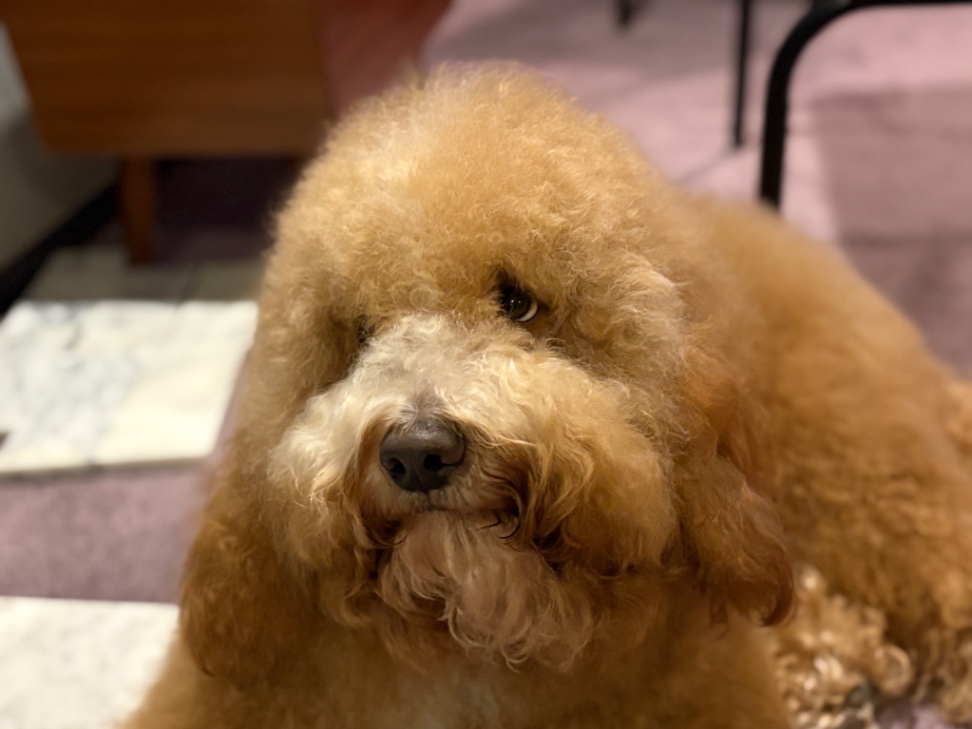 イニーツィオの写真