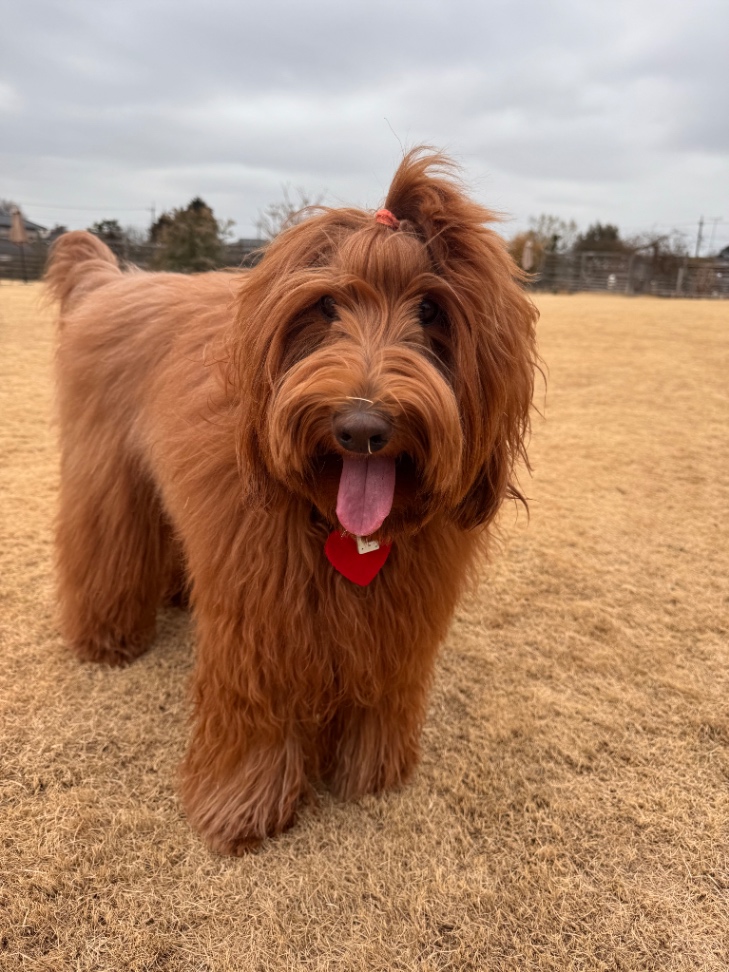 LILO(リロ)の写真