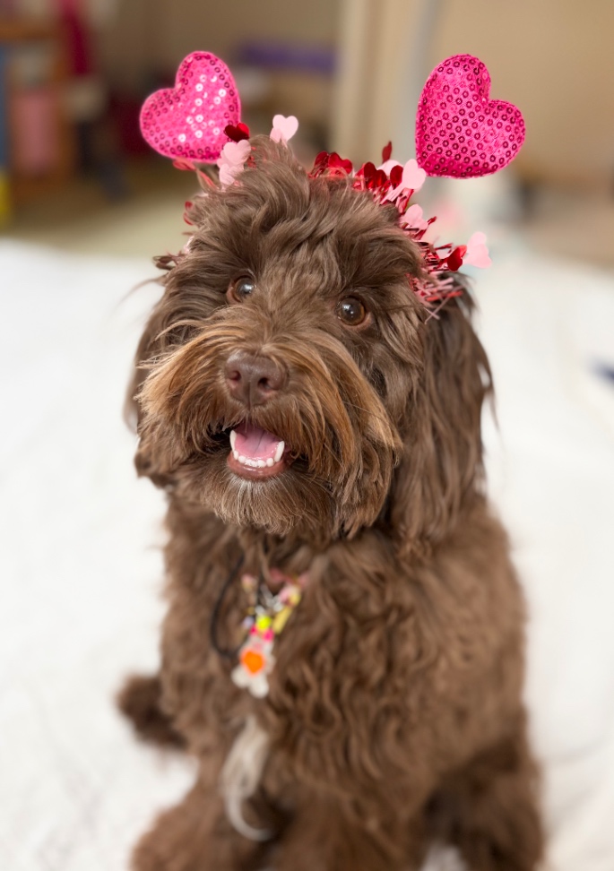 FAYフェイの写真