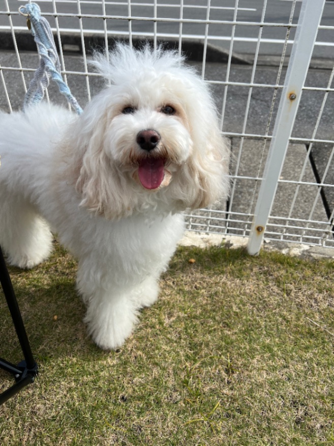 COPPER  (コッパー)の写真