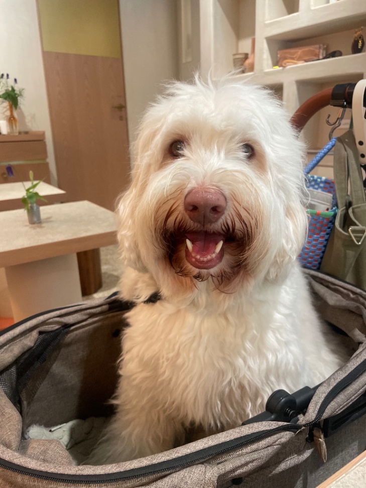 どらやきの写真