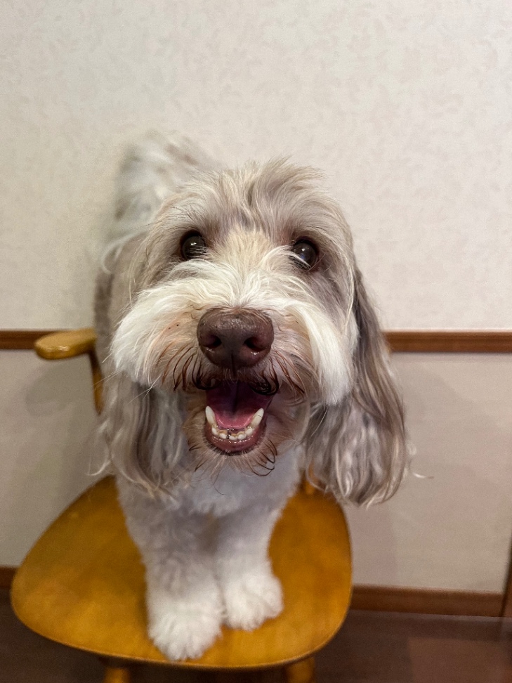 lotti(ロッティ)の写真