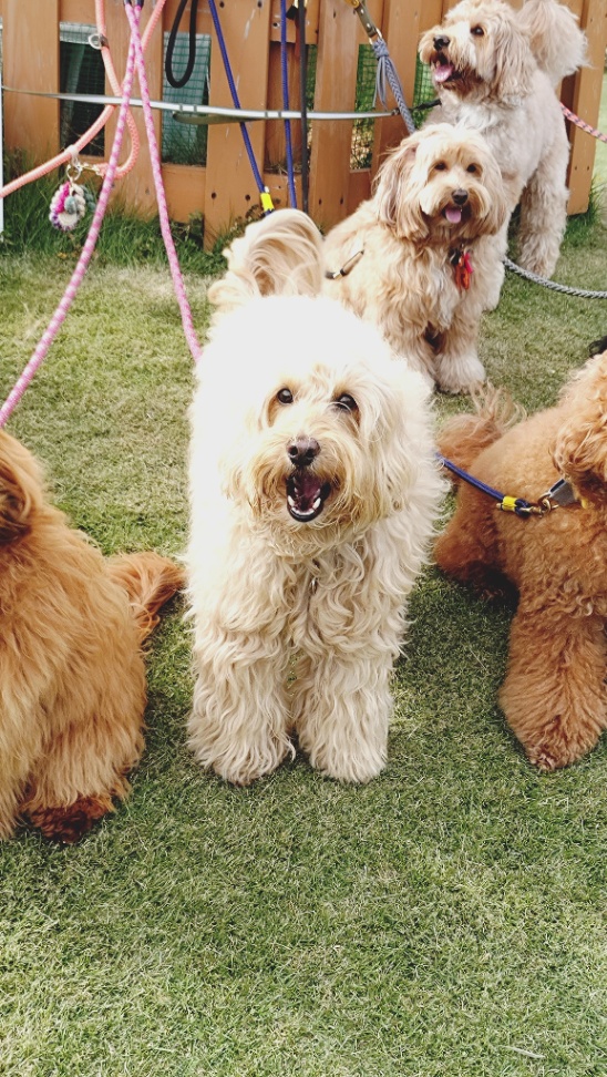 アランダノの写真