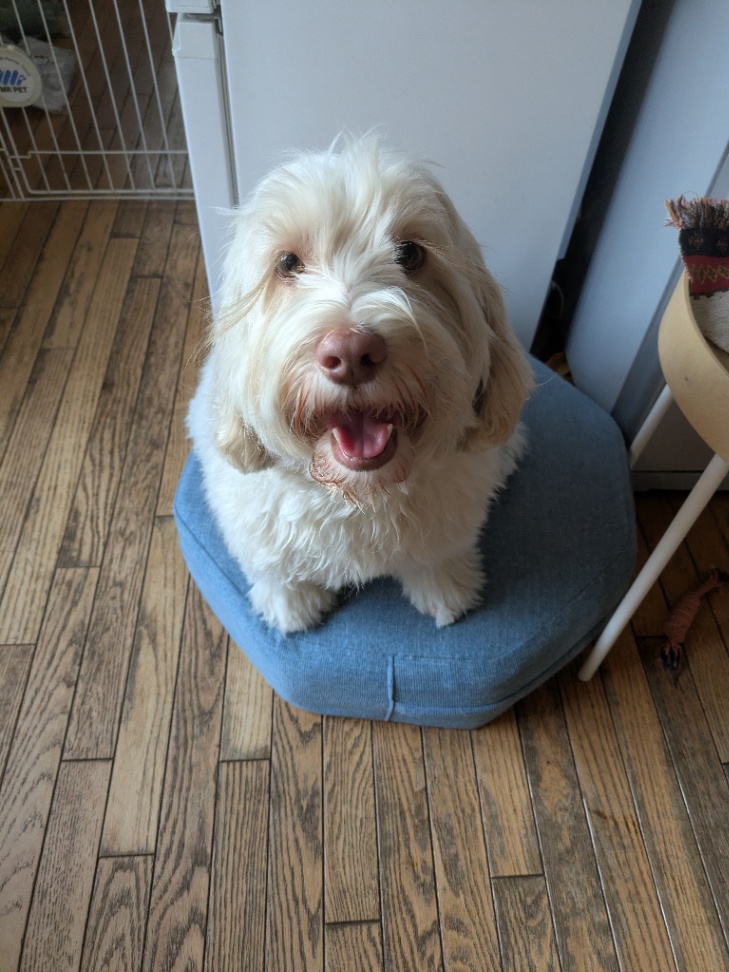 ウィニーの写真