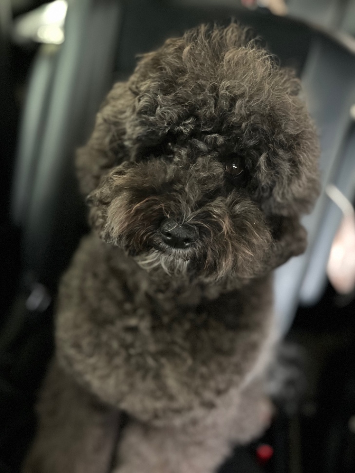 ミリの写真