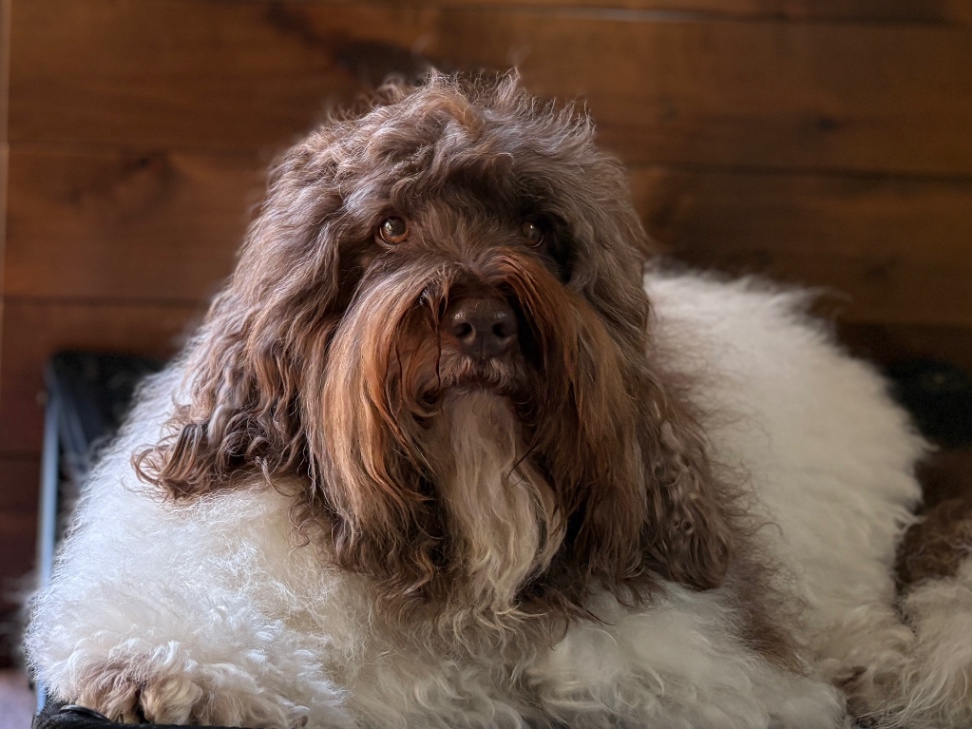 ミケーレの写真