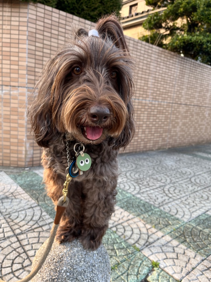 Taffytaの写真