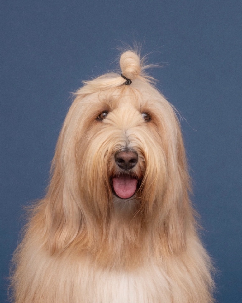 スヌーピーの写真