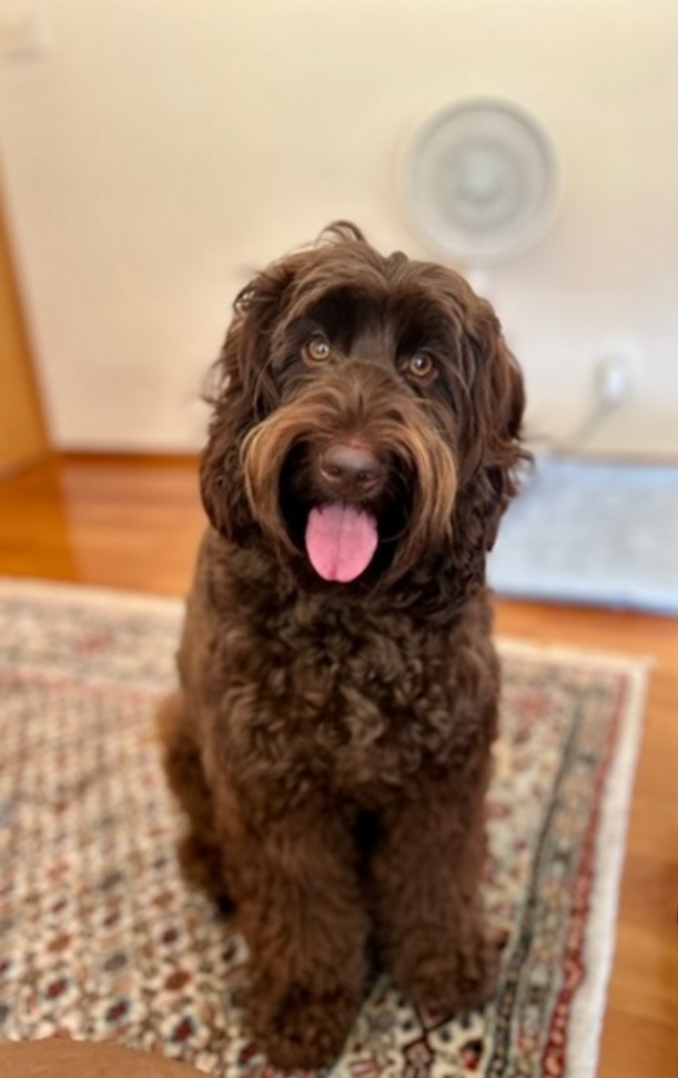 チャド(Chad)の写真