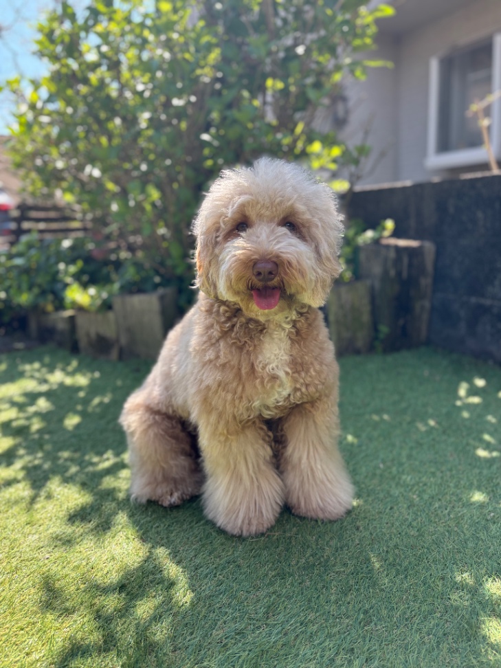 まっしゅの写真