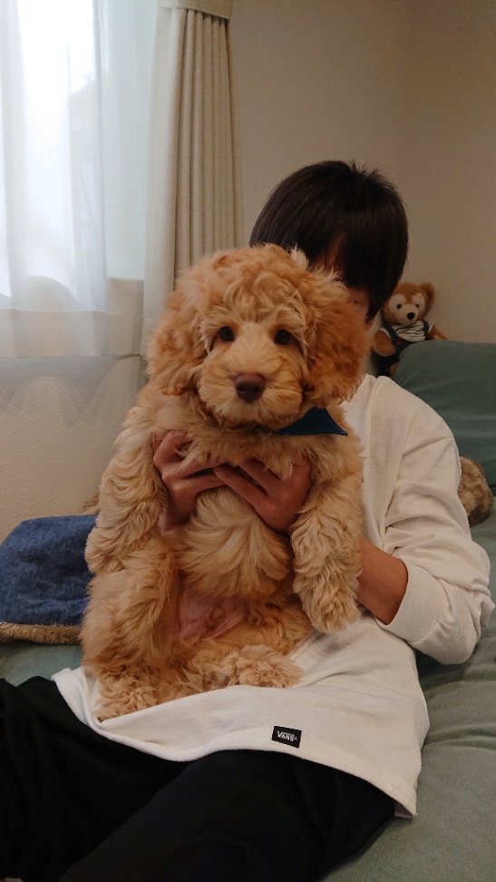 ロイドの子犬の頃