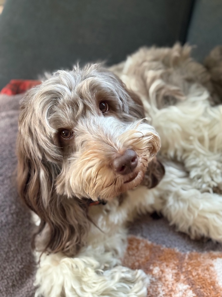 ALLEN（アレン）の写真