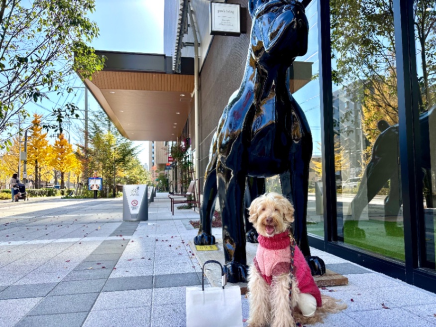 マックスの写真