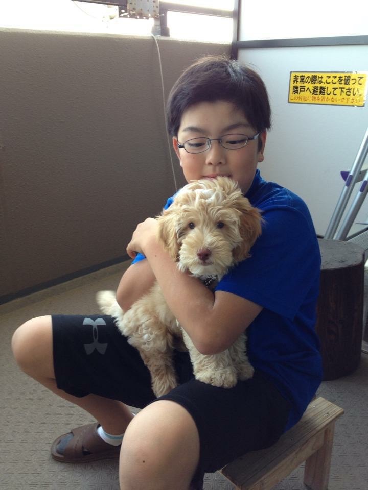 マックスの子犬の頃