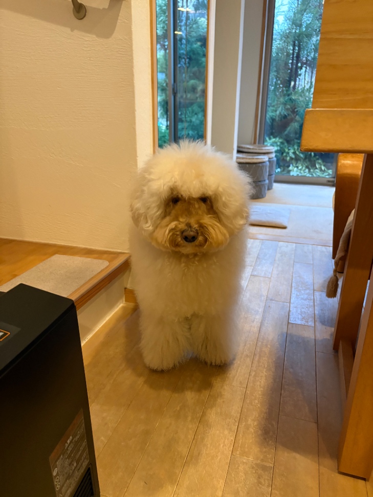 真凜（まりん）の写真