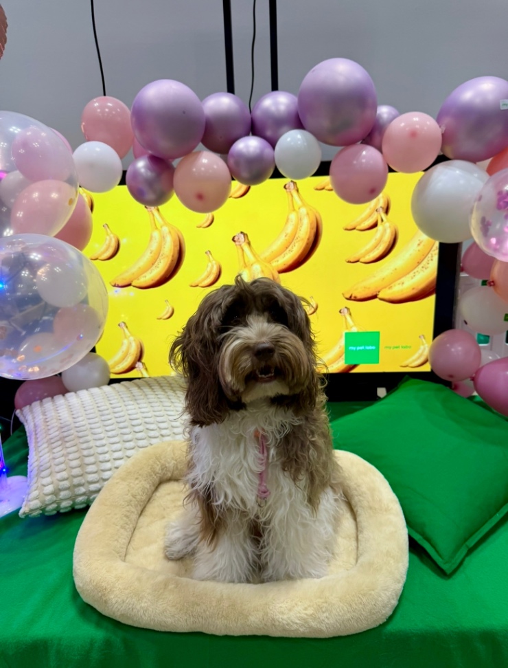 うるちゃんの写真