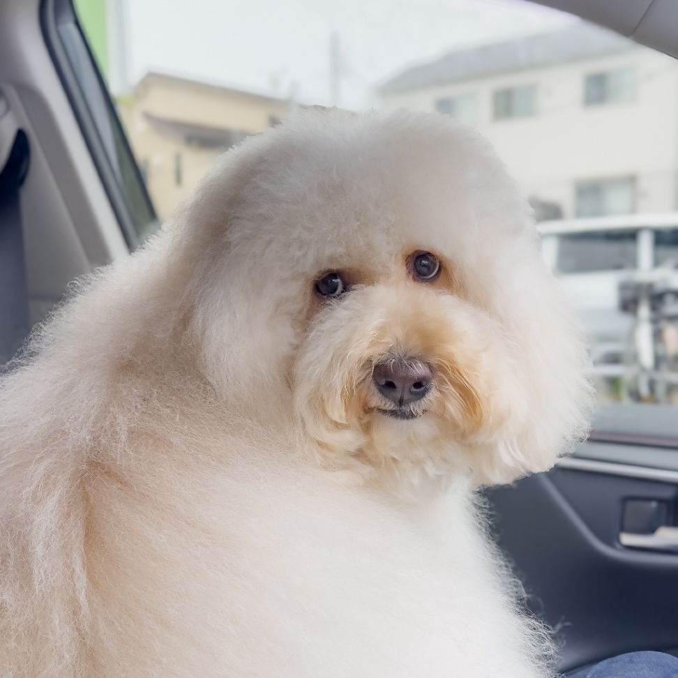 TAYLOR テイラーの写真