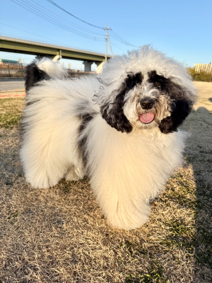 愛（いと）の写真