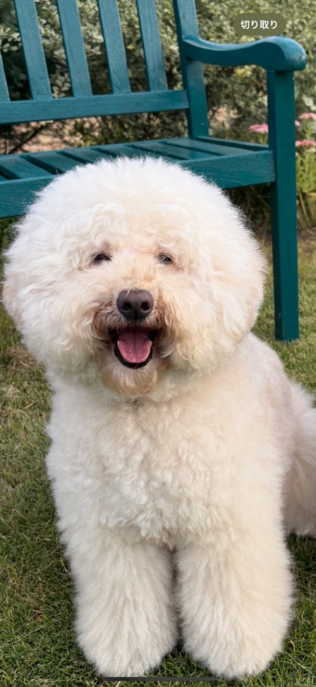 ジャックの写真