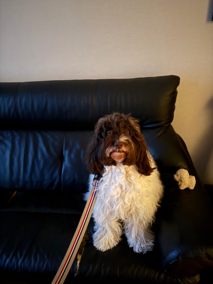 TEANA(ティアナ)の写真